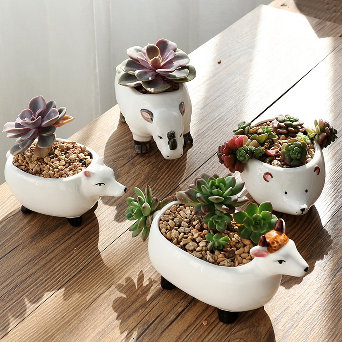 Amazon.co.jp: YOURNELO 陶器 愛らしい漫画 動物 植木鉢 多肉植物